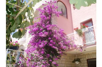 Hrvatska Privát Poreč, Eksterijer